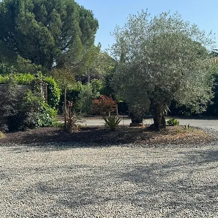 Beluga Proche Aeroport De Nantes * Saint-Aignan-Grand-Lieu