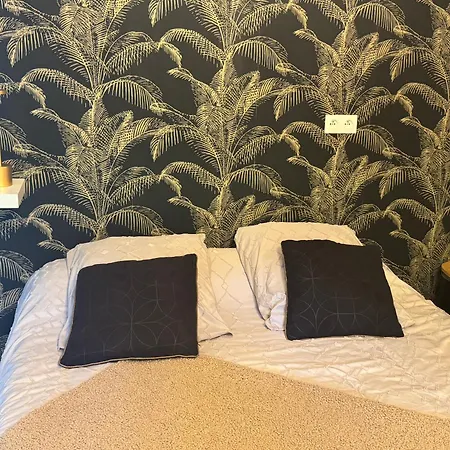 Beluga Proche Aeroport De Nantes