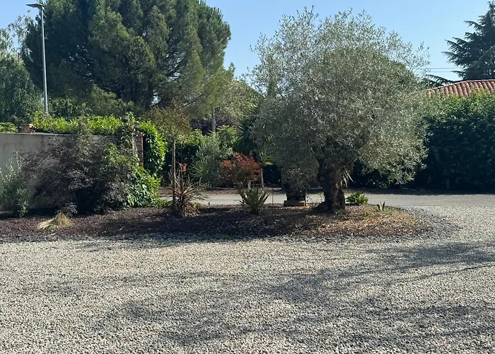 Beluga Proche Aeroport De Nantes * Saint-Aignan-Grand-Lieu